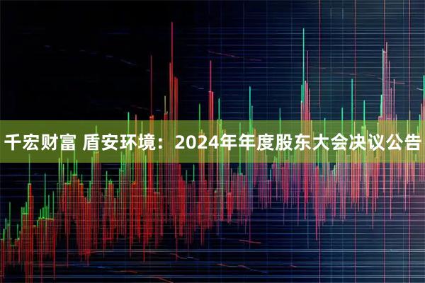 千宏财富 盾安环境：2024年年度股东大会决议公告