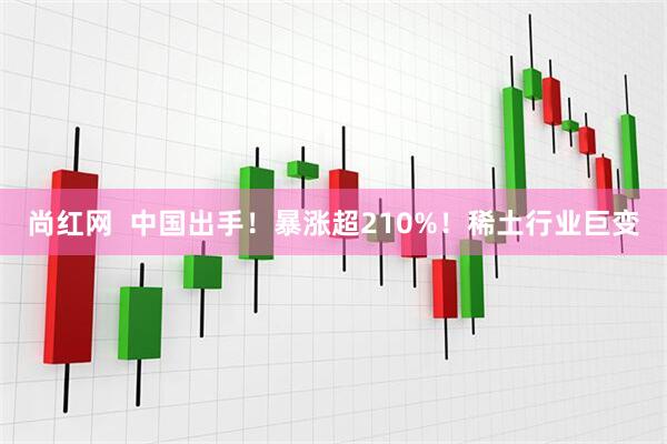 尚红网  中国出手！暴涨超210%！稀土行业巨变