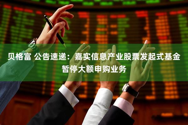 贝格富 公告速递：嘉实信息产业股票发起式基金暂停大额申购业务