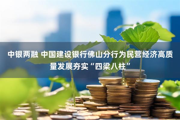 中银两融 中国建设银行佛山分行为民营经济高质量发展夯实“四梁八柱”