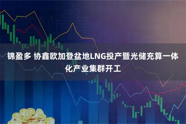 锦盈多 协鑫欧加登盆地LNG投产暨光储充算一体化产业集群开工