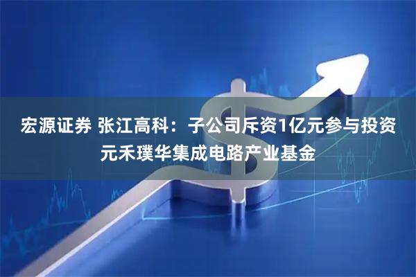 宏源证券 张江高科：子公司斥资1亿元参与投资元禾璞华集成电路产业基金