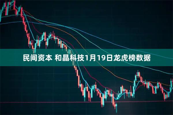 民间资本 和晶科技1月19日龙虎榜数据