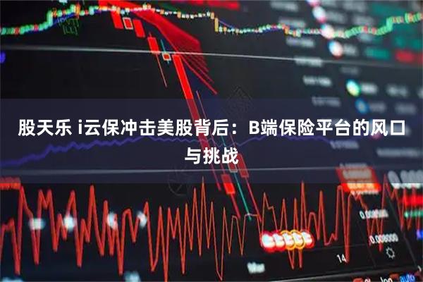 股天乐 i云保冲击美股背后：B端保险平台的风口与挑战