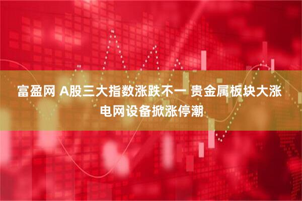 富盈网 A股三大指数涨跌不一 贵金属板块大涨 电网设备掀涨停潮