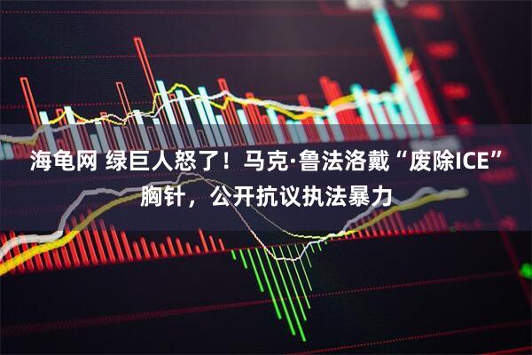 海龟网 绿巨人怒了！马克·鲁法洛戴“废除ICE”胸针，公开抗议执法暴力