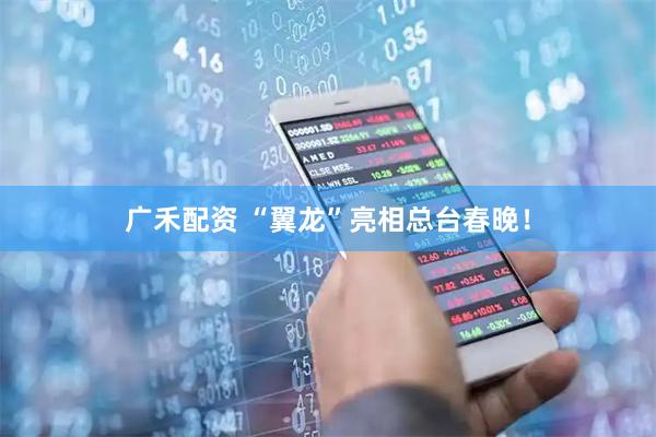 广禾配资 “翼龙”亮相总台春晚！