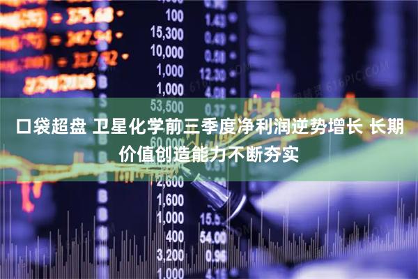 口袋超盘 卫星化学前三季度净利润逆势增长 长期价值创造能力不断夯实
