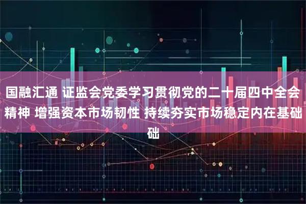 国融汇通 证监会党委学习贯彻党的二十届四中全会精神 增强资本市场韧性 持续夯实市场稳定内在基础